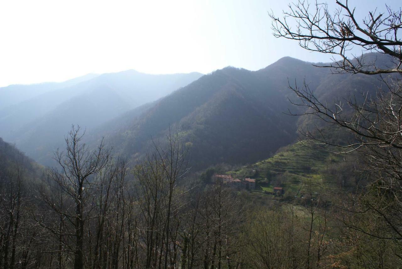 B&B Le Limentre San Pellegrino al Cassero ภายนอก รูปภาพ